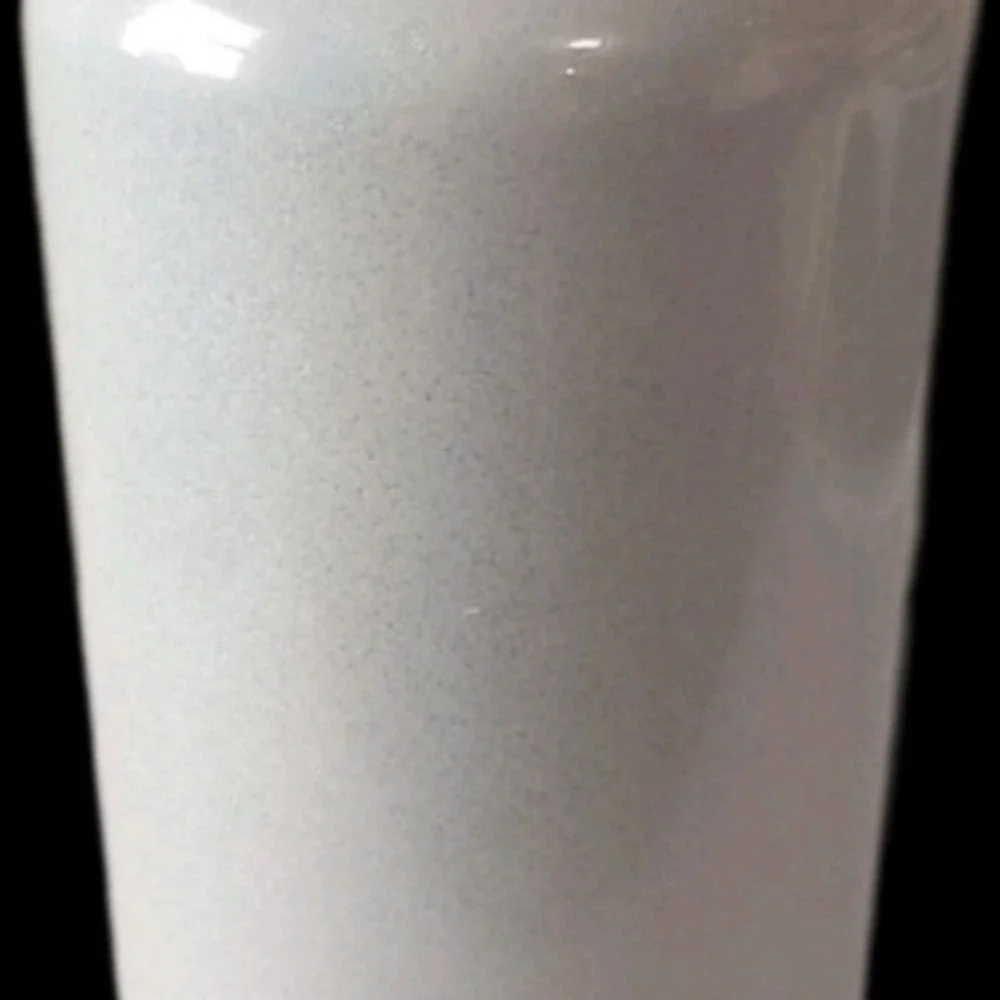 Corkcicle 25oz stainless